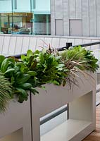 Modern planters on roof terrace