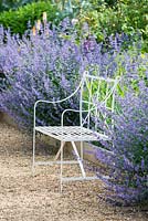White wrought iron bench beside gravel path edged with Nepeta