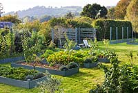 The fruit and vegetable garden in Devon. Raised, blue painted wooden beds and arbour