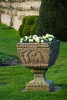 Ornate stone urn on the lawn in spring planted with yellow pansies
