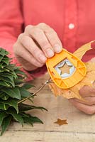 Using star shaped cutter on an autumnal leaf. 