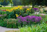 Wooland planting in evening light by Piet Oudolf. Border with Agastache and Inula Manifica 