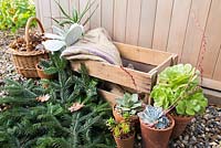 Materials needed for essential winter protection of tender plants
