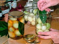 Placing Bay leaf in jar of peeled shallots prior to adding vinegar