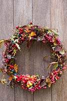 Rustic autumn wreath from material collected from countryside inc blackberries, sloes, hawthorn, euonymus europaeus
