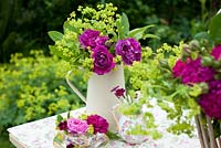 Roses in a jug and teacup with achemilla mollis