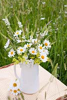Leucanthemum vulgare - Ox eye daisies with wild grasses displayed in jug