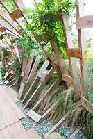 Rudbeckia 'Goldstrum' and grasses. Path under pergola made of wooden frames.