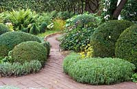 Topiary on either side of pathway. Buxus sempervirens, Anemone 'Honorine Jobert', Lavandula angustifolia and Matteuccia struthiopteris. The garden of Swedish garden designer and editor Ulla Molin 1909-1997 in Hoganas, Sweden, in 1996 when Ulla Molin was still alive. 