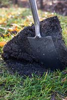 Lifting square section of turf with spade