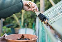 Removing leaves from greenhouse guttering