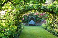 Vine covered tunnel with roses and seat
