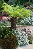 Exuberant planting ends at the retaining wall where the cool, minimalist courtyard begins. Planting includes tree ferns, phormiums, plectranthus, ricinus, cannas and dahlias. 