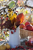 Autumn displays of apples - Malus 'Jonathan', pears - Pyrus 'Brunnenbirne', jar of rosehips, Sedum, autumn leaves and Rudbeckia.