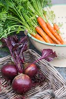 Harvested carrot 'Sugarsnax' with beetroot