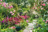 View of formal town garden with Buxus - Box edging, Roses growing on arches over paths. Dianthus - Sweet Williams and Digitalis - Foxgloves