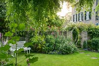 View of town garden framed by weeping ash tree. Lawn with garden seat and herbaceous beds. Stepping stones leading to gate in wall.