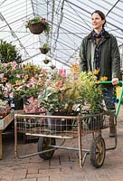 Woman pushing a trolley full of plants in a garden nursery