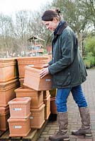 Woman browsing variety of terracotta pots at a garden nursery
