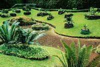 The Cycads garden, Terra Nostra  Garden, Furnas, Sao Miguel, Azores. July.