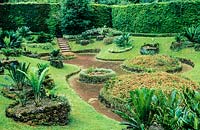 The Cycads garden. Terra Nostra Garden, Fumas, Sao Miguel, Azores. July.