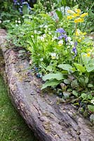 Hyacinthoides non-scripta Bluebell, Primula veris and Viola planted in border retained by a thick wooden log. Artisan Garden -What Will We Leave - The NSPCC Garden of Magical Childhood. 