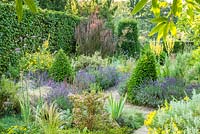 The Dry Garden, Cambridge Botanic Gardens in June. Box and Yew topiary, lavender, irises, santolina, verbena,  grasses and Berberis thunbergii f. atropurpurea 'Helmond Pillar'.