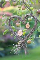 Heart shaped bird feeder with dried apple rings, Malus domestica