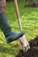Man preparing bed using spade for planting beech hedge.