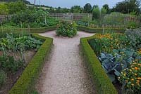 Formal garden with Buxus edging and beds containing Brassica, Borage and Calendula