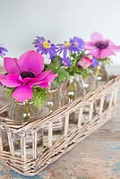Floral arrangement of Anemone 'Harmony Orchid' and Anemone blanda.