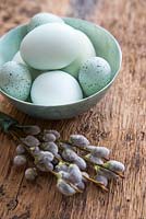 Display of coloured eggs in bowl, with Pussy willow cuttings