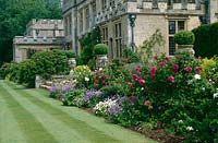 Grand country garden in summer with Rosa rugosa 'Blanc Double de Combert', 'Roseraie de L'Hay', Viola