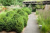 Box topiary and bed of Molinia caerulea Moorhexe. Timber pavillion with green roof