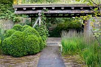 Molinia caerulea 'Moorhexe', box topiary. Timber gazebo in contemporary designed garden. 