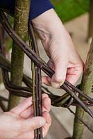 Building a Hazel and Willow obelisk - weaving stems 