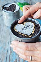 Sowing Mustard 'White' seeds using heart shaped stencil