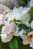 Detail of an arrangement with white and pale pink peonies