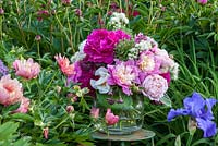 In a collector's garden, peony bouquet in a glass vase