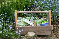 Wooden box with paper seed bags and a plant line next to chives and forget-me-nots