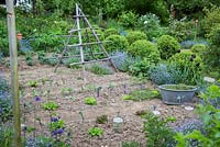 The vegetable garden with a wooden haystack support and a tin tub