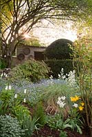 Spring border of Myosotis Rosa ornamental grass Honesty mixed Tulipa shrubs  with clipped Yew and outhouse behind