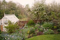 Greenhouse with spring planting including mature Malus blossom Myotosis, Fennel, Heuchera, Honesty mixed Tulipa including Tulipa 'Carnaval de Nice' - Vale End, Surrey
