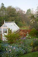 Greenhouse with spring planting including mature Malus blossom, Myotosis, Fennel, Honesty, mixed Tulipa including Tulipa 'Carnaval de Nice' - Vale End, Surrey