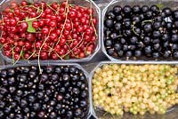 Red, black and white currants in plastic containers