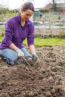 Woman removing weeds from an allotment bed