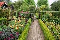Paved path edged with low box hedge to the entrance gate. Border of dahlias. Tuin de Villa