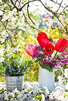 Floral display of spring flowers includes tulips, honesty, cherry and forget me nots.