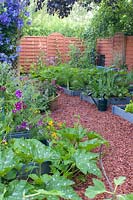 Square vegetable garden on wooden red mulch 