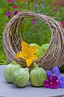 Round Courgettes 'Ronde de Nice' in a basket - Zucchini